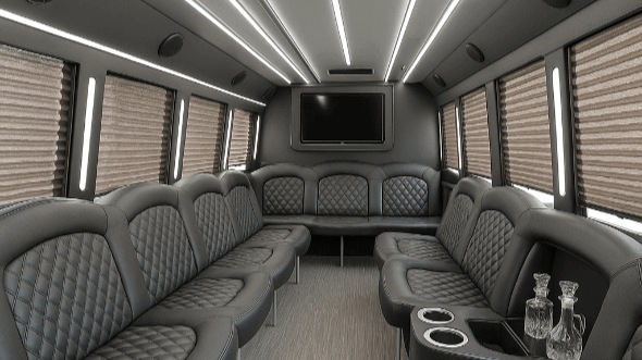 savannah 20 passenger party bus rental